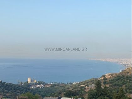 ΡΟΔΙΑ