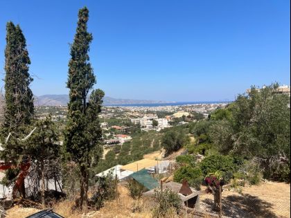 ΜΕΣΑΜΠΕΛΙΕΣ