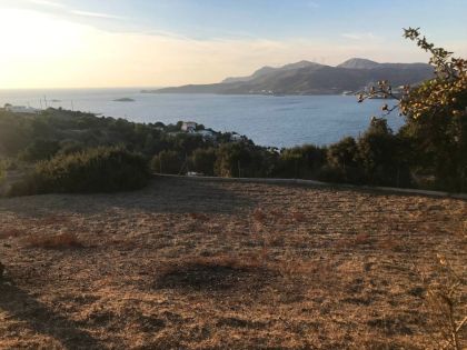 ΔΩΔΕΚΑΝΗΣΑ