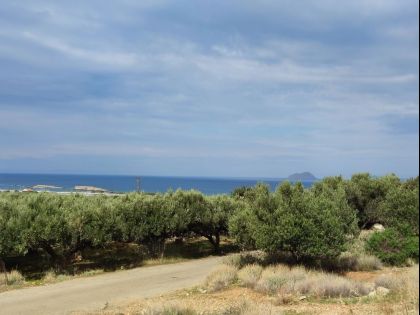 ΦΑΛΑΣΑΡΝΑ
