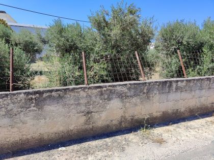 ΤΣΑΛΙΚΑΚΙ