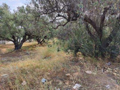 ΑΓΙΟΣ ΙΩΑΝΝΗΣ ΚΝΩΣΟΥ