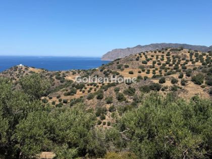 ΜΟΧΛΟΣ
