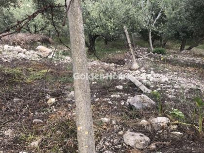 ΚΑΙΝΟΥΡΓΙΟ ΧΩΡΙΟ