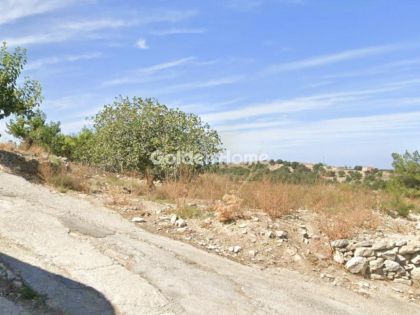 ΑΡΧΟΝΤΙΚΗ