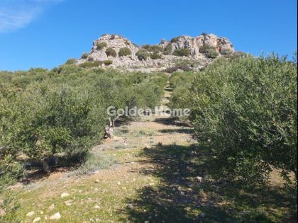 ΑΡΒΗ: