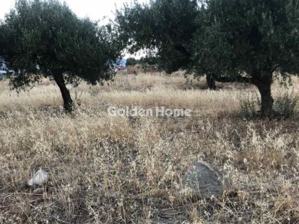 ΜΑΚΡΥΣ ΓΙΑΛΟΣ