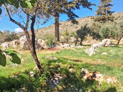 ΚΑΛΑΜΙΤΣΙ