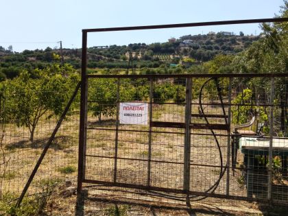 ΔΑΦΝΕΣ: