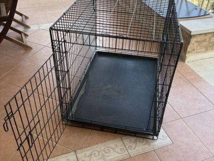 BOX ΓΙΑ ΜΕΓΑΛΟΣΩΜΑ ΣΚΥΛΙΑ