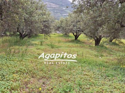 ΑΓΙΟΣ ΒΛΑΣΙΟΣ