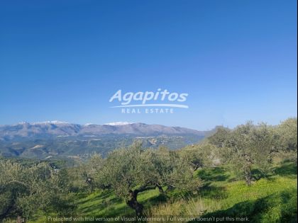 ΒΑΣΙΛΕΙΕΣ