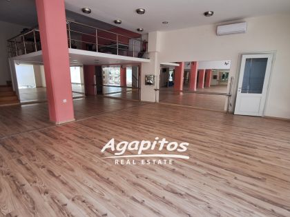 ΧΡΙΣΤΟΜΙΧΑΛΗ ΞΥΛΟΥΡΗ