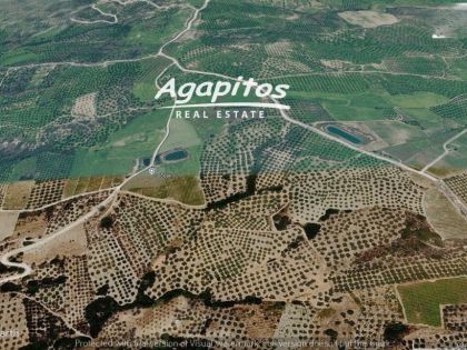ΠΡΟΦΗΤΗΣ ΗΛΙΑΣ