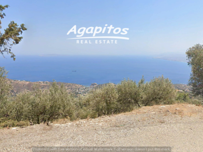 ΡΟΔΙΑ
