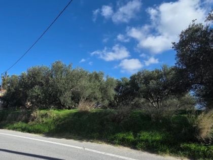 ΚΕΛΛΙΑ