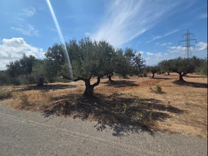 ΚΑΛΛΙΘΕΑ