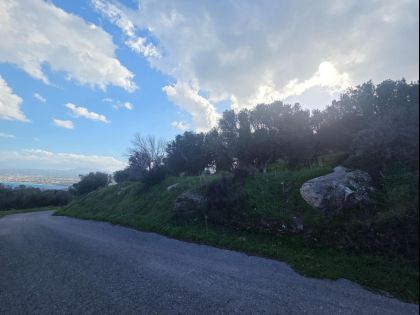 ΠΑΝΤΑΝΑΣΣΑ
