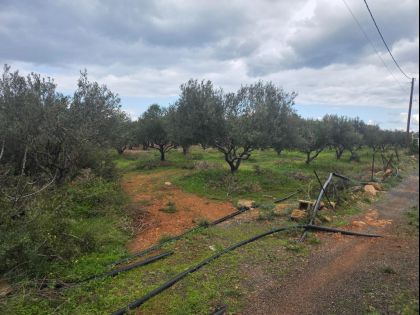 ΧΕΡΣΟΝΗΣΟΣ