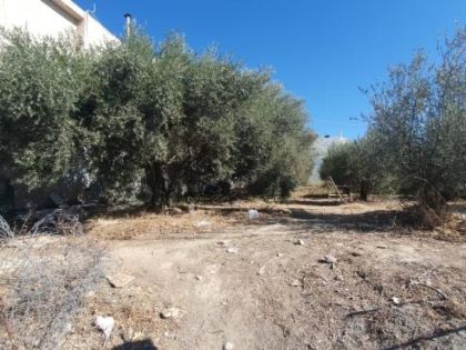 ΚΑΠΠΑΡΙΑΝΑ