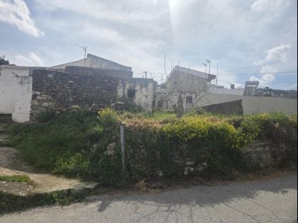 ΣΤΕΡΝΕΣ