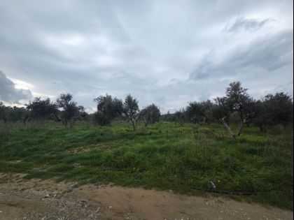 ΙΝΙΟ