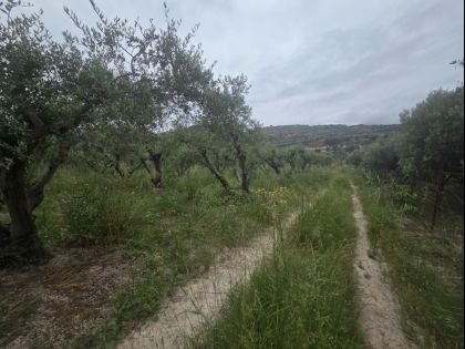 ΚΑΛΕΣΑ ΚΑΤΩ 