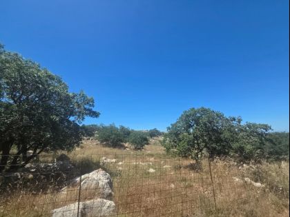 ΣΜΑΡΙ