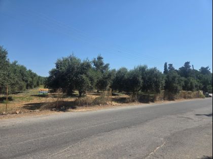 ΑΡΚΑΛΟΧΩΡΙ