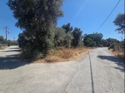 ΤΥΜΠΑΚΙ
