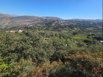 ΑΓΙΟΣ ΘΩΜΑΣ