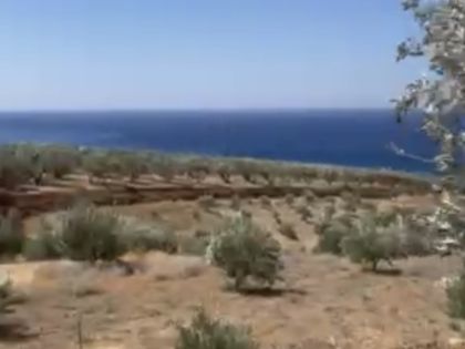 ΚΕΡΑΤΟΚΑΜΠΟΣ