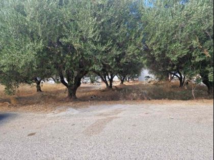 ΑΓΙΟΣ ΙΩΑΝΝΗΣ ΚΝΩΣΟΥ