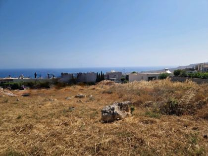 ΒΡΑΧΟΚΗΠΟΣ