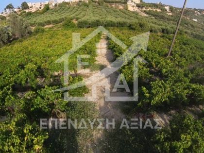 ΚΑΛΕΣΑ ΚΑΤΩ 