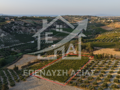 ΠΑΓΝΗ