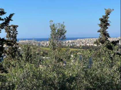 ΦΟΙΝΙΚΙΑ