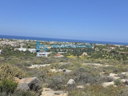 ΓΟΥΡΝΕΣ ΠΕΔΙΑΔΟΣ
