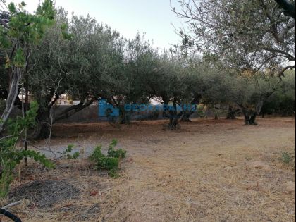 ΓΟΥΒΕΣ ΚΑΤΩ 