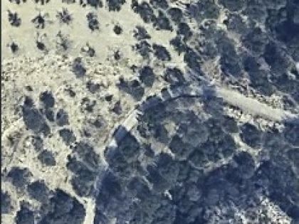 ΣΤΑΥΡΑΚΙΑΝΗ ΚΑΜΑΡΑ