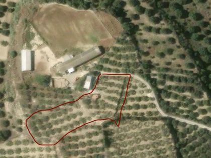 ΚΑΡΤΕΡΟΣ