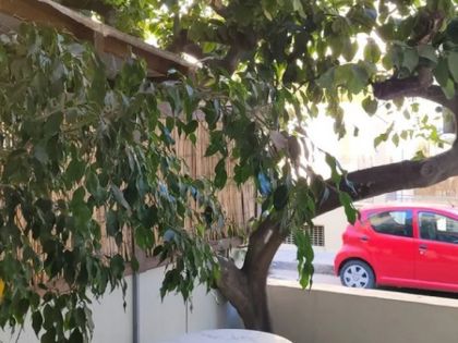 ΑΤΣΑΛΕΝΙΟ