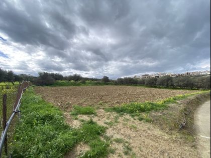 ΕΛΙΑ