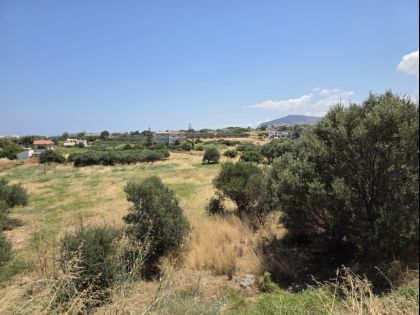 ΓΟΥΡΝΕΣ ΠΕΔΙΑΔΟΣ