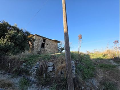 ΕΠΙΣΚΟΠΗ