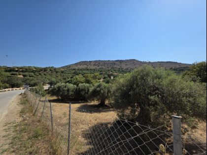 ΚΟΞΑΡΗ