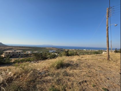 ΒΡΑΧΟΚΗΠΟΣ