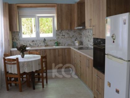 ΑΤΣΑΛΕΝΙΟ