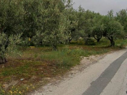 ΑΓΙΟΣ ΙΩΑΝΝΗΣ ΚΝΩΣΟΥ