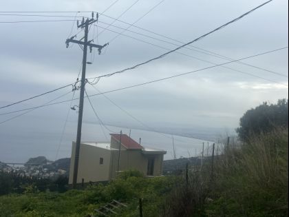 ΡΟΔΙΑ